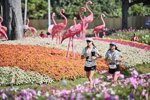 BIB: 
                            <button type="button" onclick="openModal(27793526)" class="btn btn-primary btn-sm float-right btn-popup" data-toggle="modal" data-target=".modal-high-quality">
                        <i class="fas fa-shopping-cart"></i> Add to Cart
                    </button>
                                            <button type="button" onclick="isThisMe(27793526, true)" class="btn btn-success btn-sm float-right btn-popup btn-isme hidden" data-toggle="tooltip" data-placement="bottom" title="นี่คือรูปของคุณใช่ไหม คลิกที่นี่เพื่อเอาเข้าอัลบั้ม">
                        <i class="fas fa-plus"></i> Add to album
                    </button>
                    <button type="button" onclick="isThisMe(27793526, false)" class="btn btn-warning btn-sm float-right btn-popup btn-isnotme hidden">
                        <i class="fas fa-ban"></i> Remove from album
                    </button>